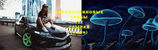 соль ск Тайга