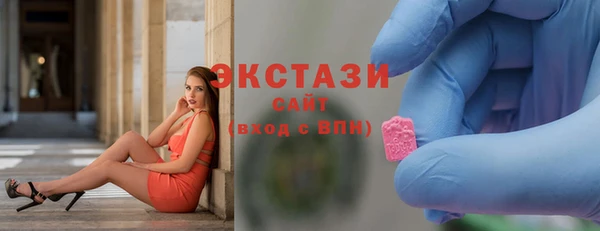 гидра Костерёво