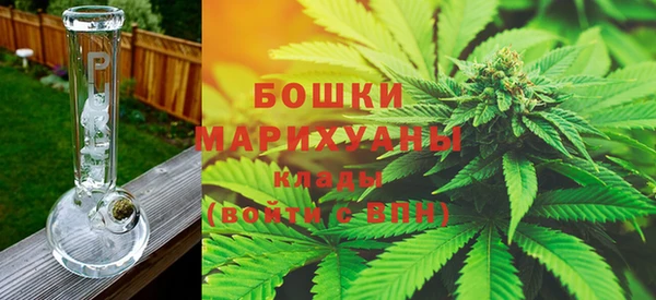 ешки Корсаков