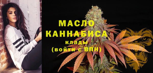 гидра Костерёво