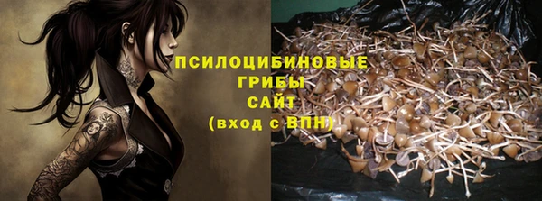 стафф Краснотурьинск