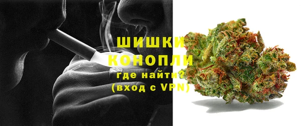 стафф Сясьстрой